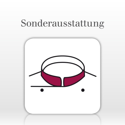 Einfarbiger Kragenspiegel 
