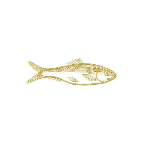 Fisch 