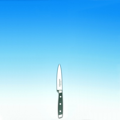 Spickmesser, 10cm 
