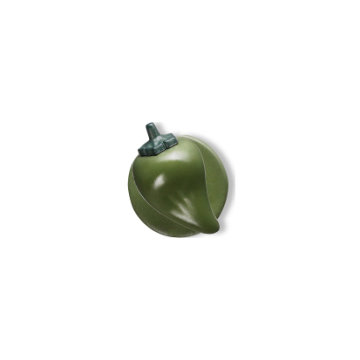 Paprika grün 