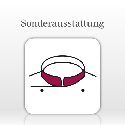Einfarbiger Kragenspiegel 